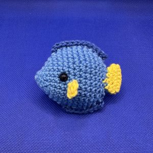 Poisson chirurgien